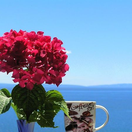 Guest House Lifestyle Holiday Opatija Pokój zdjęcie