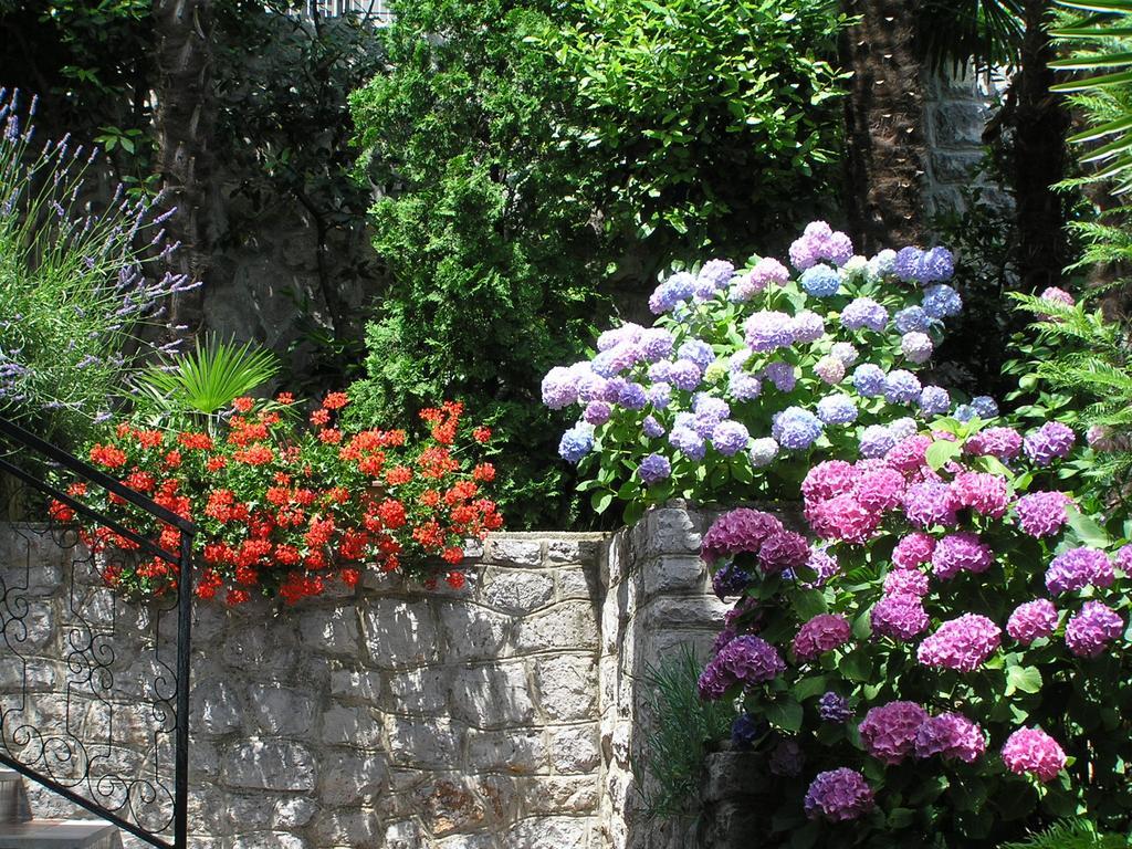 Guest House Lifestyle Holiday Opatija Zewnętrze zdjęcie